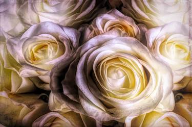 Print of Impressionism Floral Photography by Debbie Smith