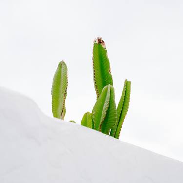 Original Conceptual Architecture Photography by Emilie Möri