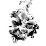 FLOWING - Black & white series 