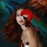 Red Parrot by Jovana Rikalo