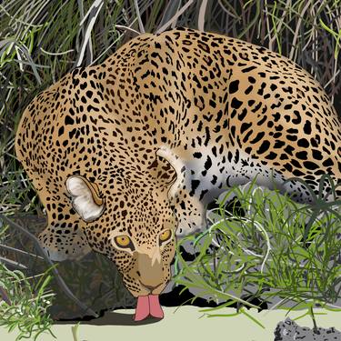 Leopard Drinking - Limited Edition 1 of 10 thumb
