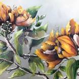 The Araçoiaba's Tulip Tree (