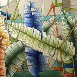 Heliconia's leaves (
