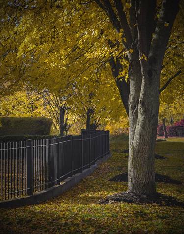 Print of Seasons Photography by Robert Ruscansky