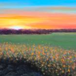 The Light Finds Me Waiting by Faith Patterson