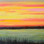 When the Meadow Dims by Faith Patterson