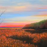 Watching the Last Light by Faith Patterson