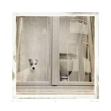 Original Art Deco Dogs Photography by Danny de Jong