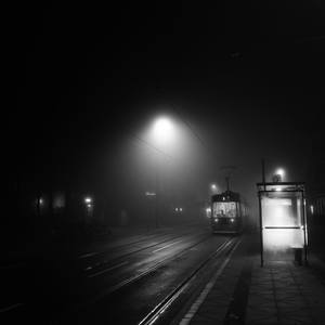 Collection Naked City - Fog