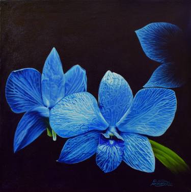 Print of Fine Art Floral Paintings by Ciocan Calin Andrei