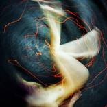 Collection COZMOGONIZM