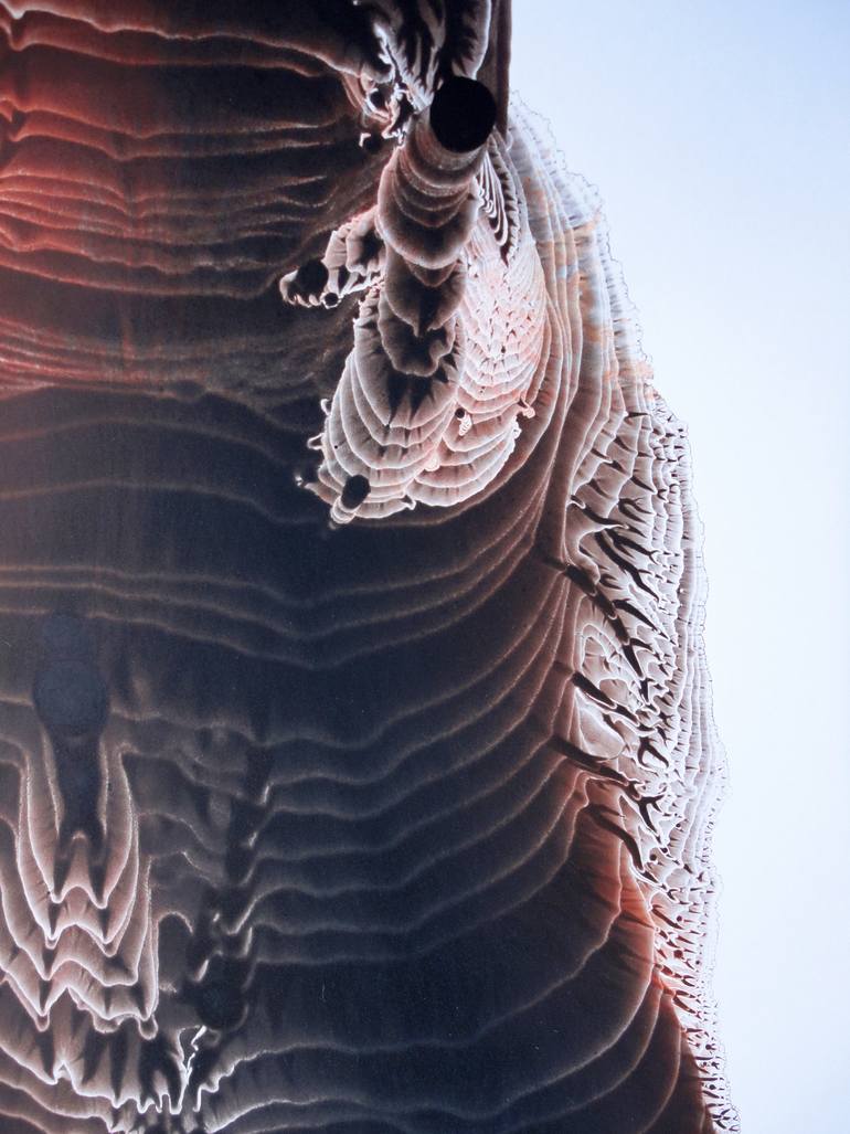 Original Expressionism Abstract Painting by Francisco Ledesma