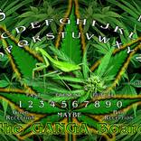 Collection MODERN OUIJA BOARD