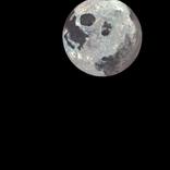 Collection Original Fine Art Paintings