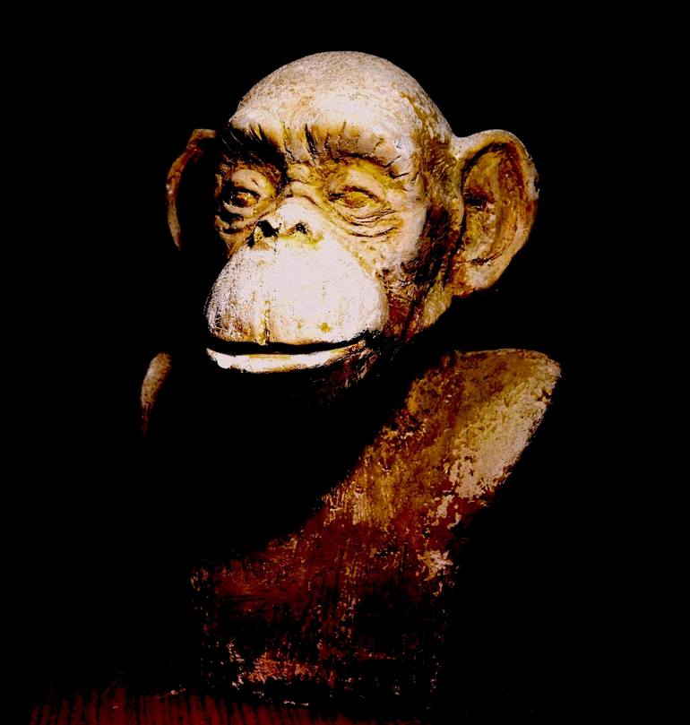 Chimpanzee - Print