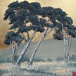 Where the Light Waits by Lucy MacQueen