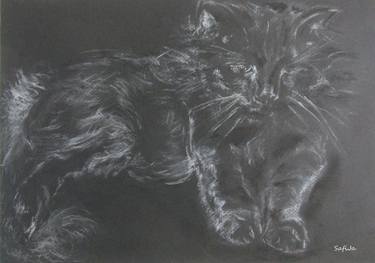 Print of Fine Art Animal Drawings by Jagna Safinska