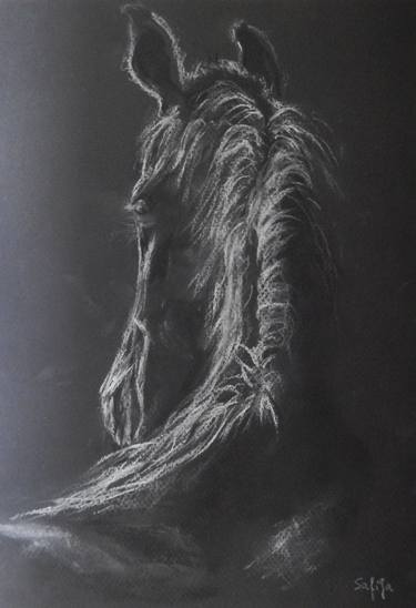 Original Realism Horse Drawings by Jagna Safinska