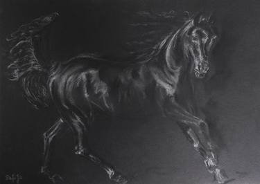 Original Fine Art Horse Drawings by Jagna Safinska