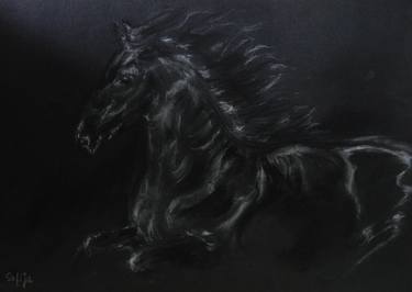 Original Realism Horse Drawings by Jagna Safinska