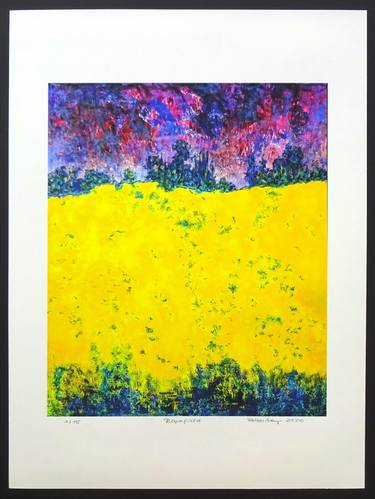 Original Abstract Landscape Printmaking by Volker Mayr