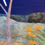 Birds of Paradise Serenade the Boonerang Moon by Brian Adgate