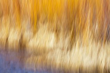 Original Fine Art Abstract Photography by Terry Thompson