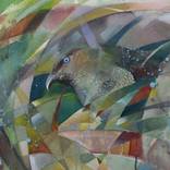 Young female Satin Bower by Trevor Salisbury