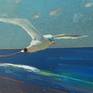 Part of my collection of the Australian bird species.