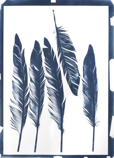 The Feather 1 -Cyanotype- Limited Edition 3 of 5 thumb