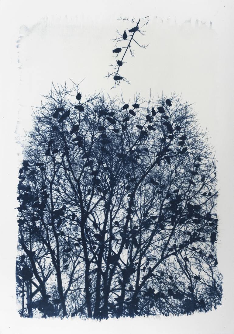 Original Conceptual Nature Photography by Nihal Gunduz