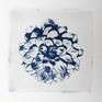 Collection CYANOTYPE