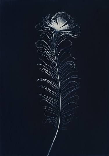 The Feather 2 - Cyanotype- Limited Edition 3 of 4 thumb