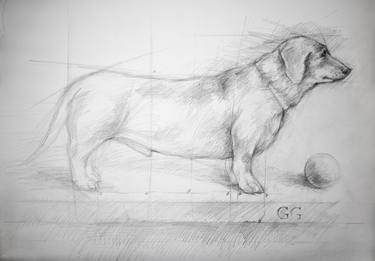 Original Realism Animal Drawings by Greg Gregson