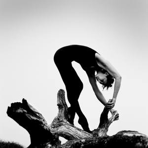 Collection Artists of the Week 6-10-2019