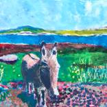 Donkey by Martin Mcclean
