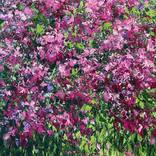 Magenta Bloom by Yulia Shautsukova