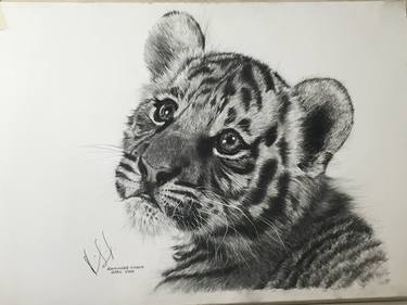 Tiger cub thumb