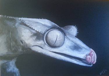 Print of Fine Art Animal Paintings by Judit Szalanczi