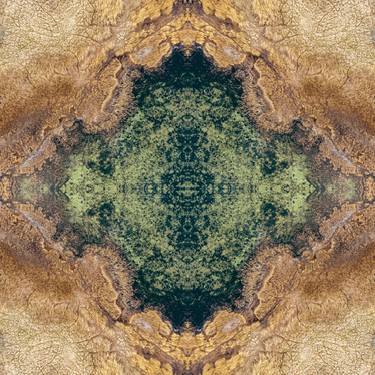 Original Abstract Patterns Photography by Sven Vogel