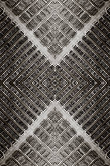 Print of Abstract Patterns Photography by SVEN VOGEL