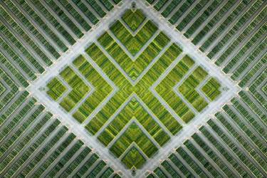 Original Abstract Expressionism Abstract Photography by Sven Vogel