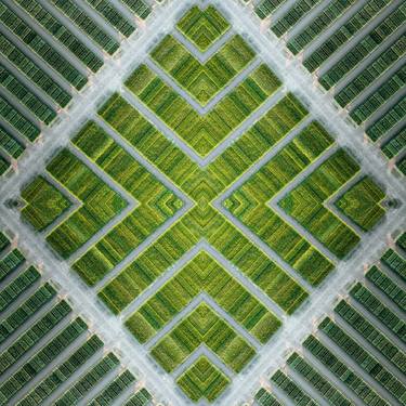Print of Abstract Patterns Photography by SVEN VOGEL