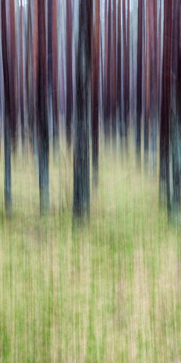 Original Abstract Photography by SVEN VOGEL