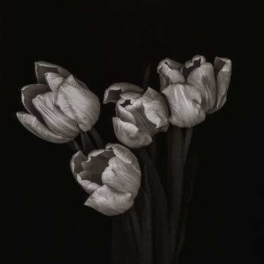 Original Art Deco Floral Photography by SVEN VOGEL