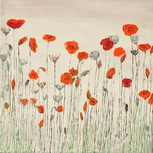 Collection Poppies