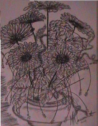 Print of Floral Drawings by Maria Nascimento