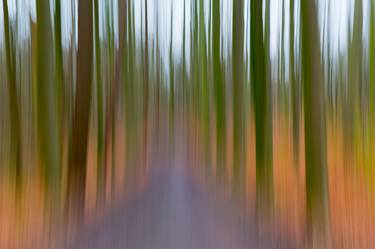 Print of Abstract Tree Photography by Martine DF