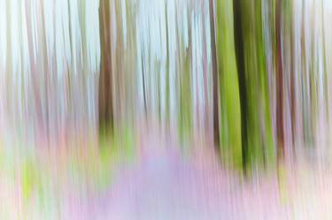 Print of Fine Art Tree Photography by Martine DF
