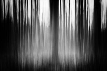 Print of Abstract Expressionism Tree Photography by Martine DF